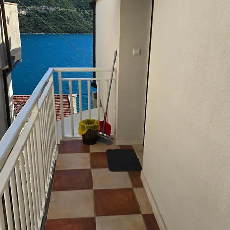 Jelena Apartamento *